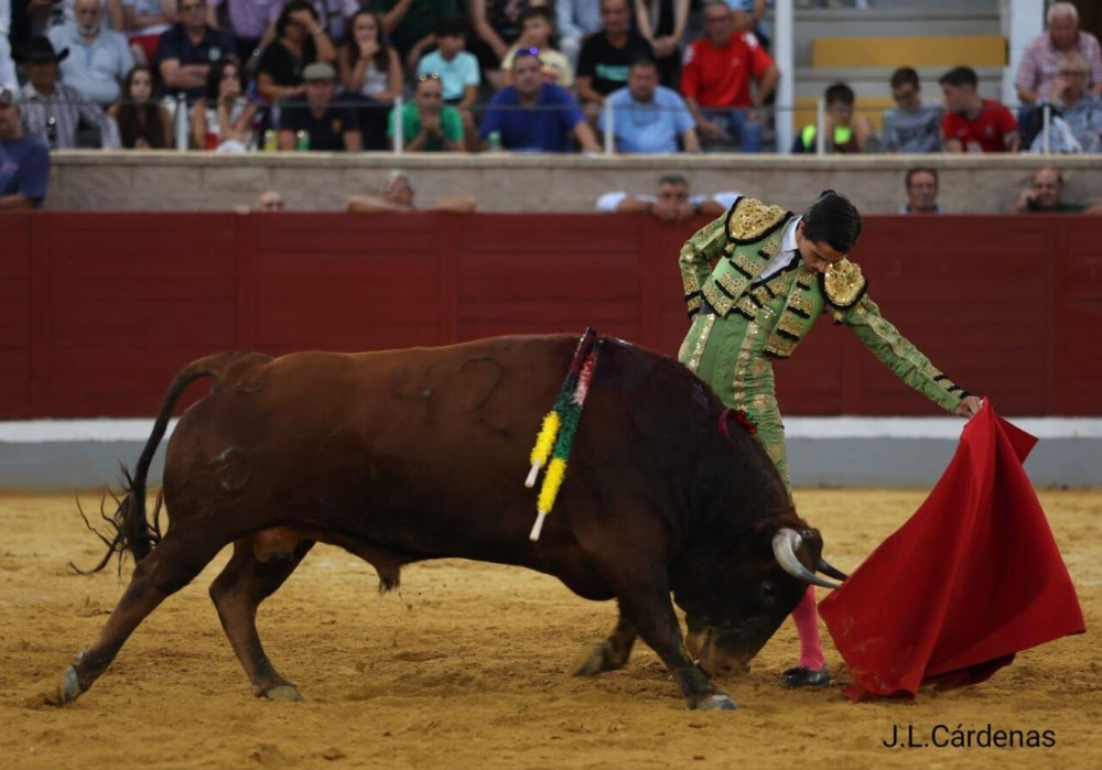 Imagen 2