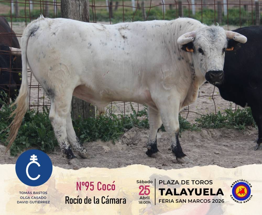 Imagen 2