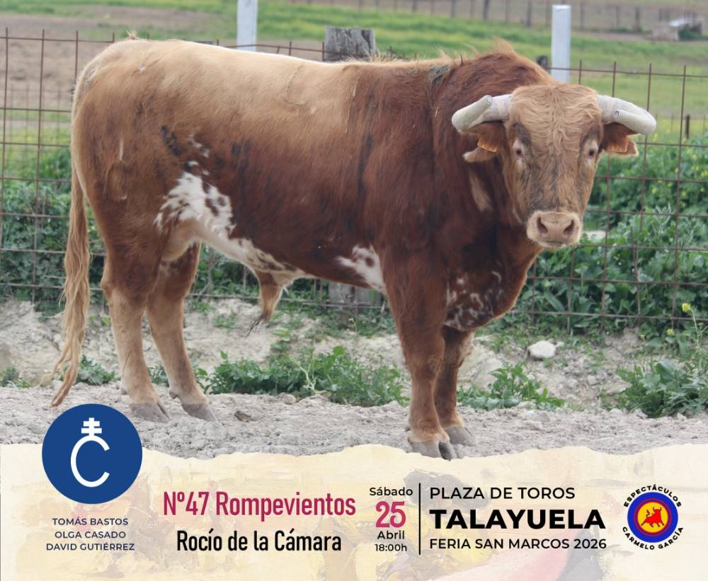 Imagen 5