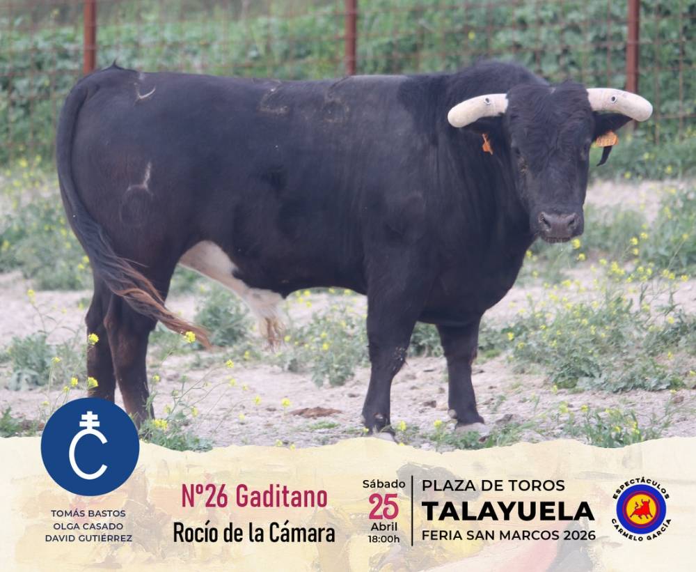 Imagen 3