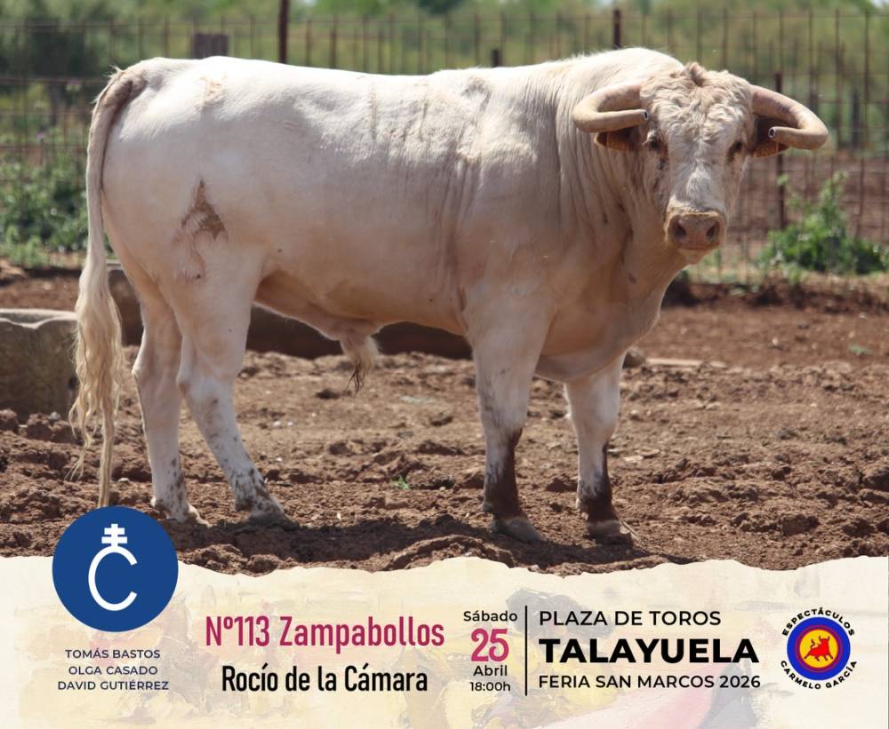 Imagen 6