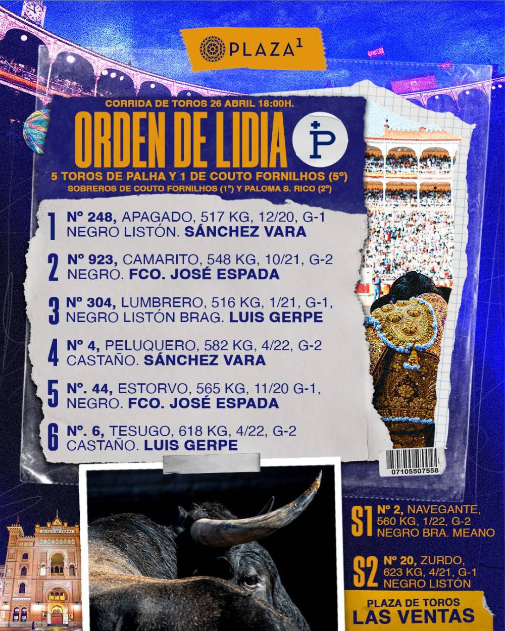 Imagen 7