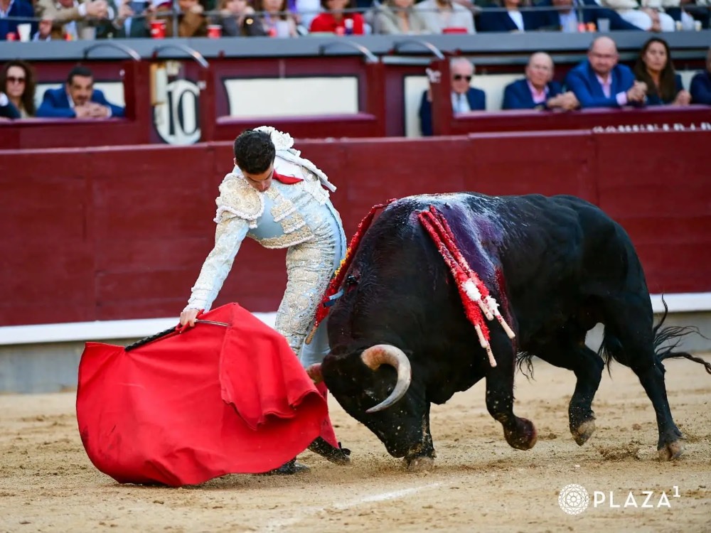 Imagen 5
