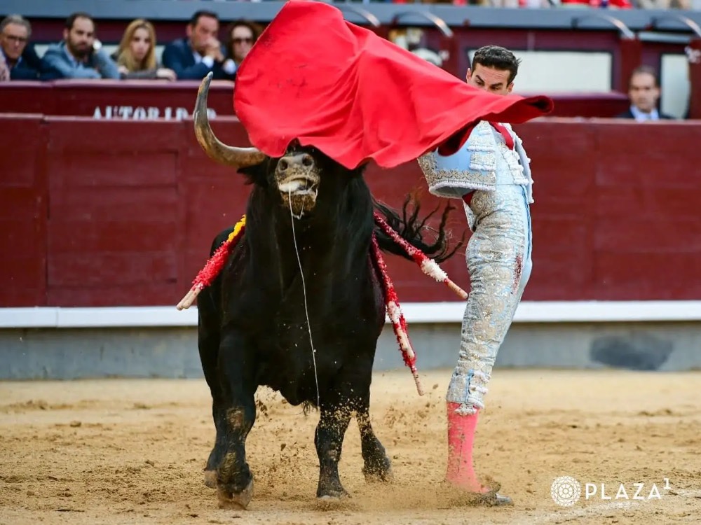 Imagen 6