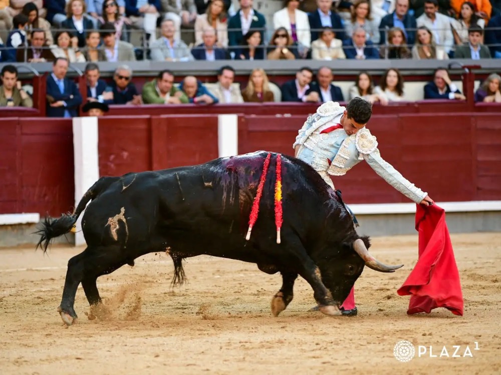 Imagen 8