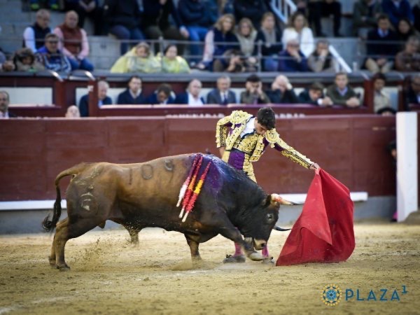 Imagen 2