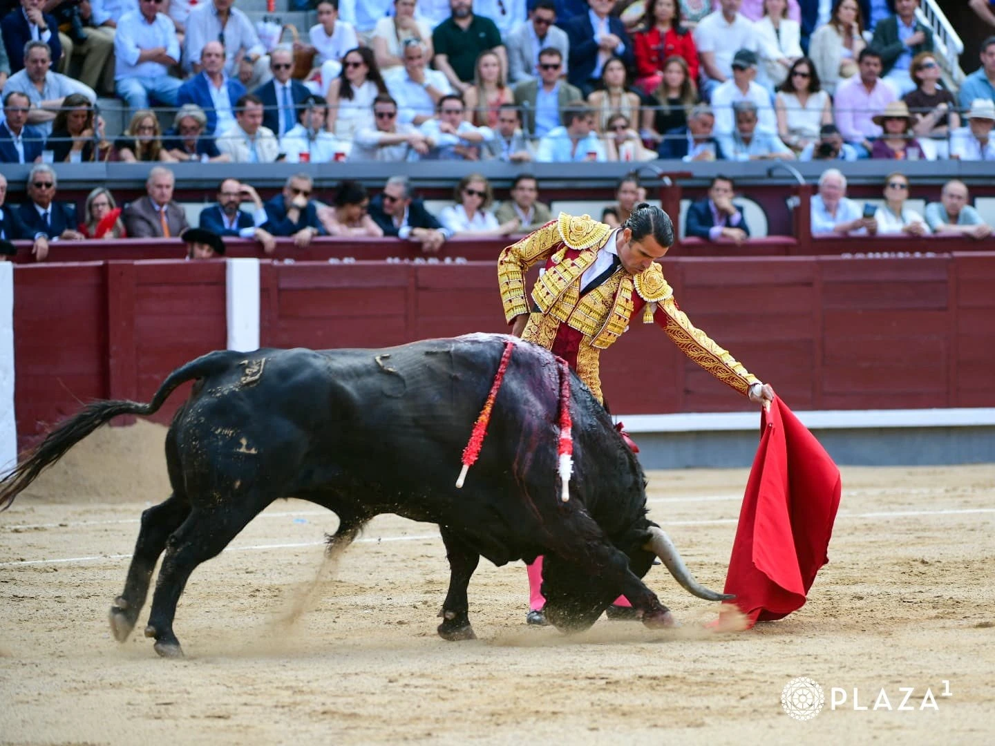 Imagen 1