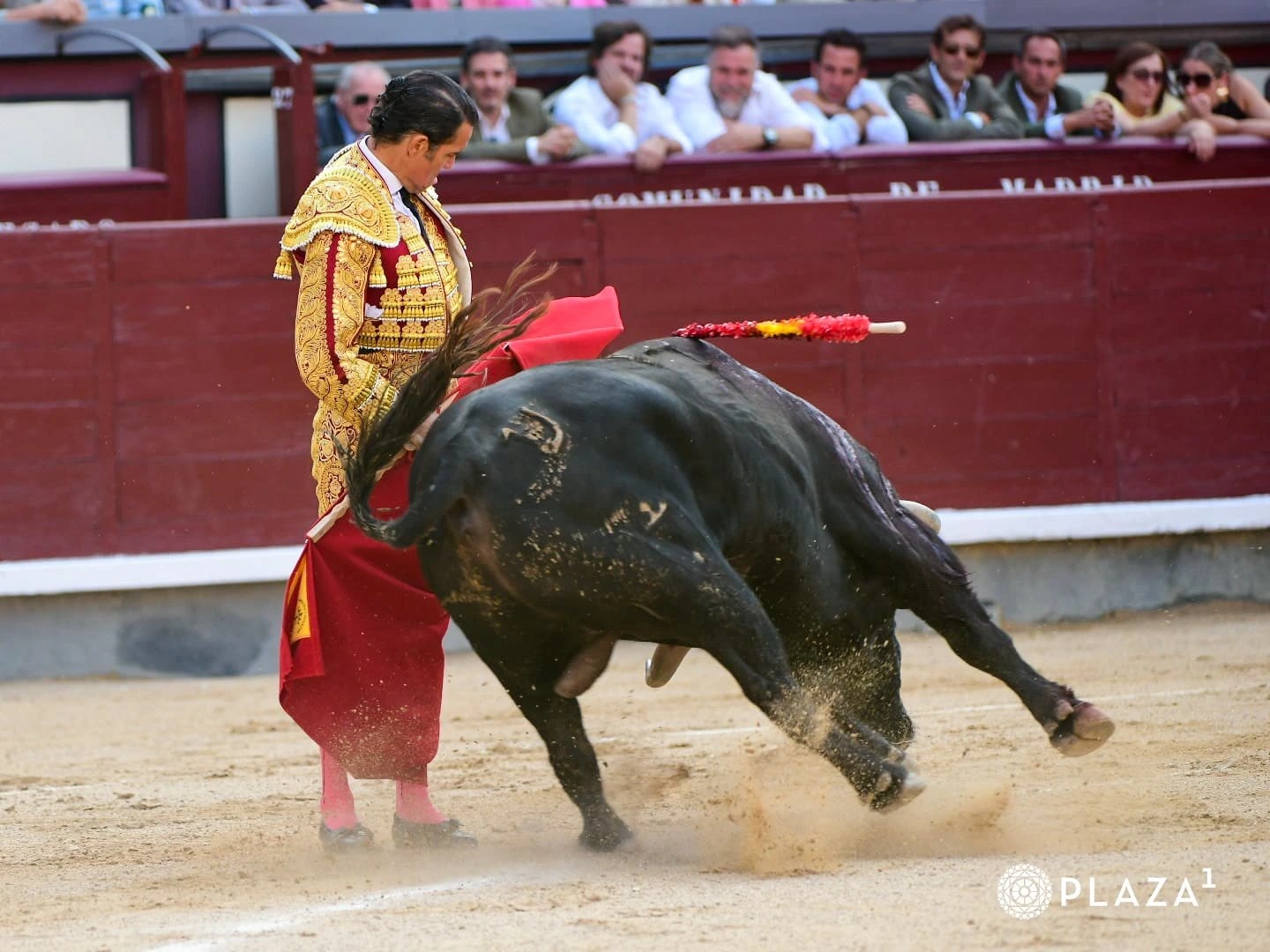 Imagen 2