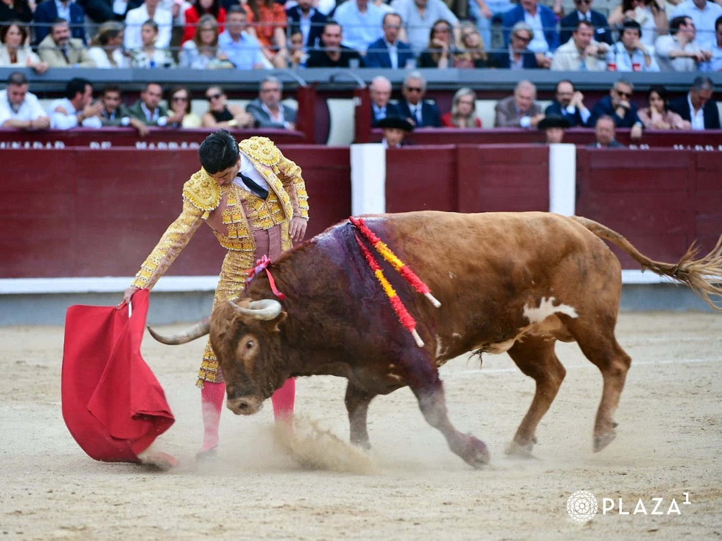 Imagen 3