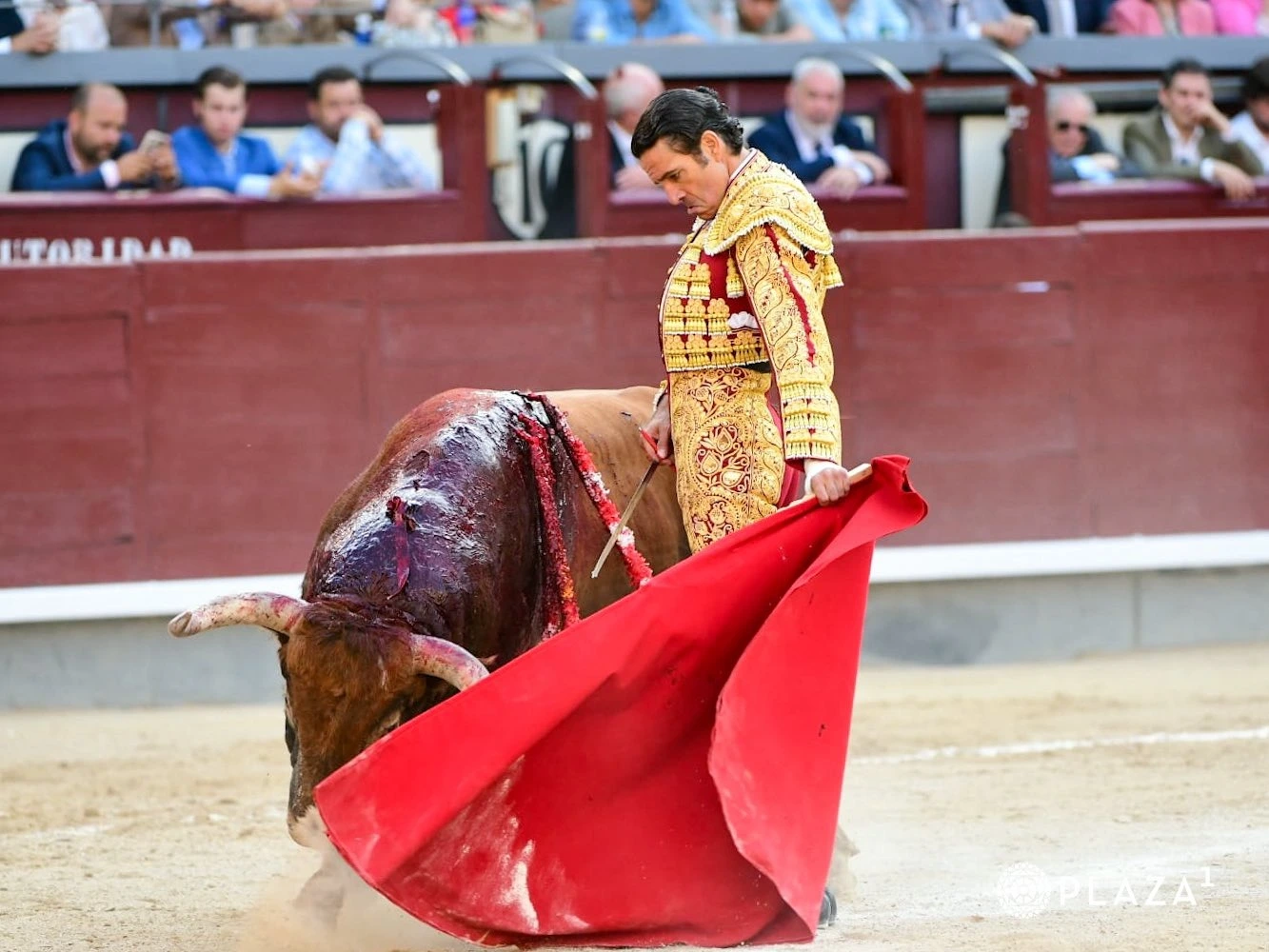 Imagen 5