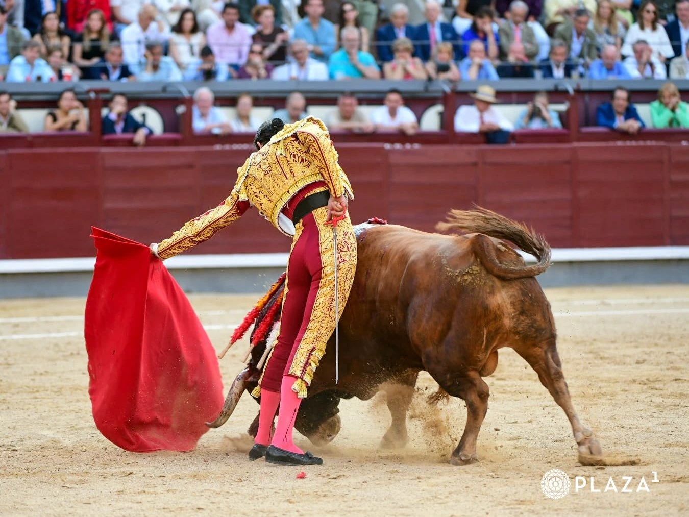 Imagen 6