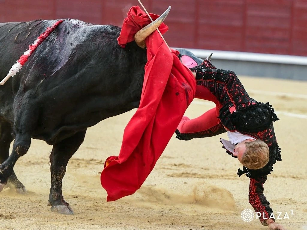 Imagen 7
