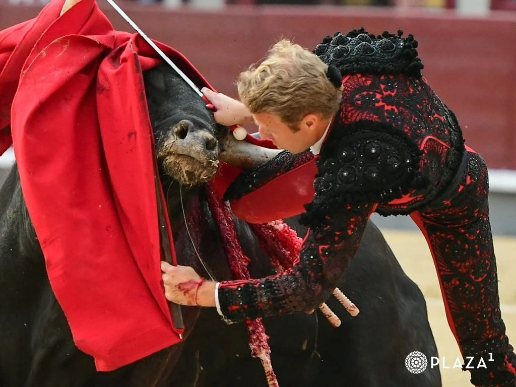 Imagen 8
