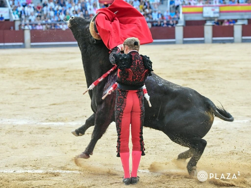 Imagen 9