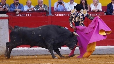 Imagen 2