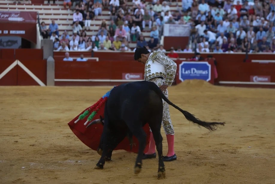 Imagen 4