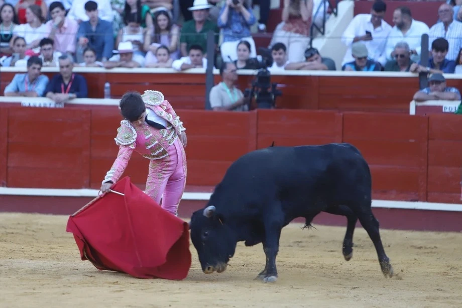 Imagen 5
