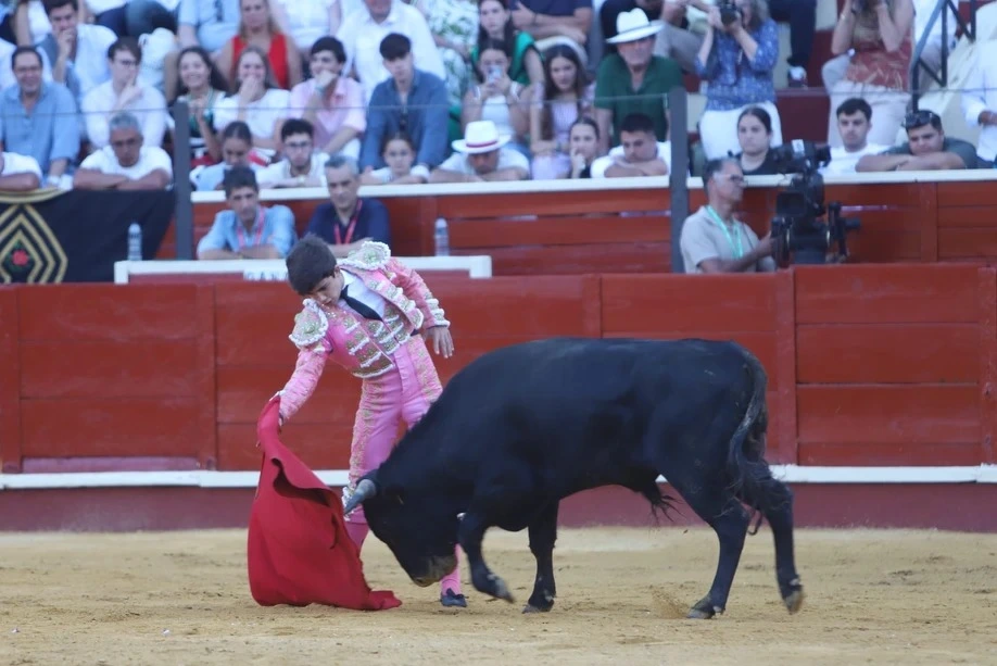 Imagen 7