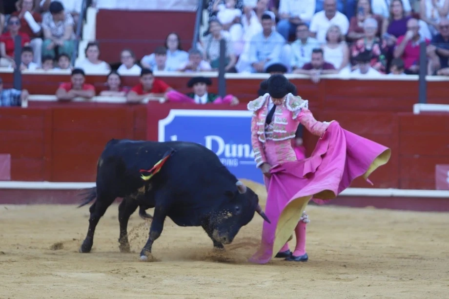Imagen 8