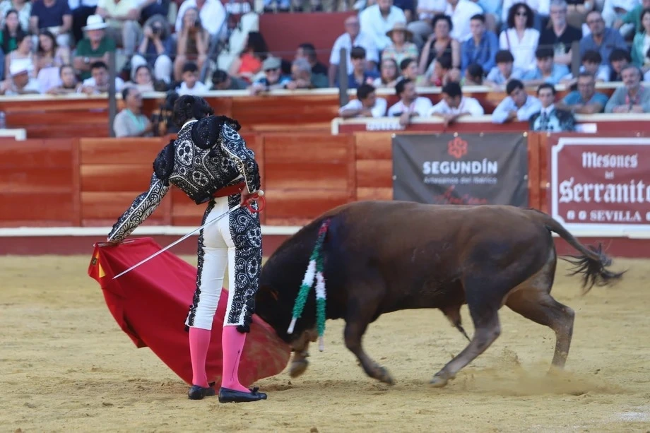 Imagen 10