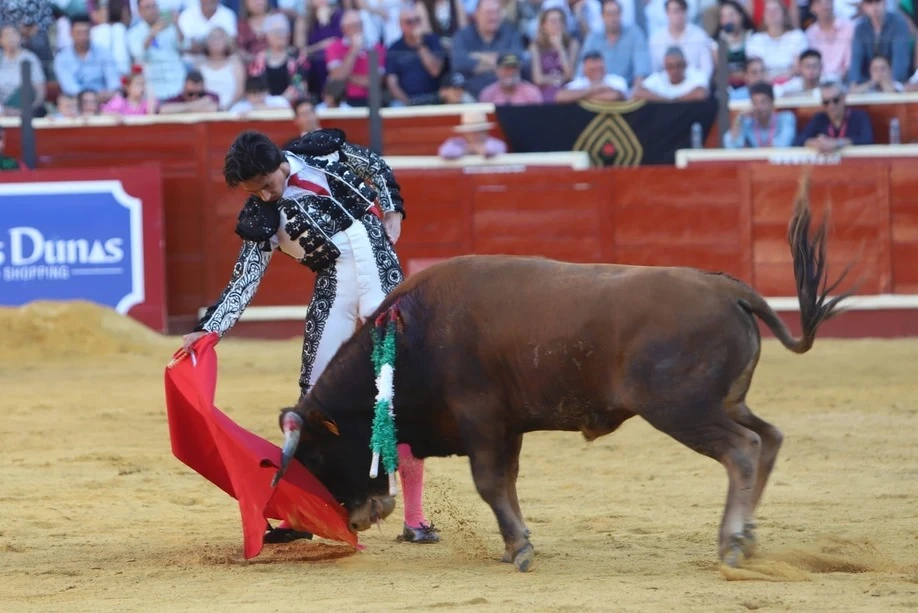 Imagen 11