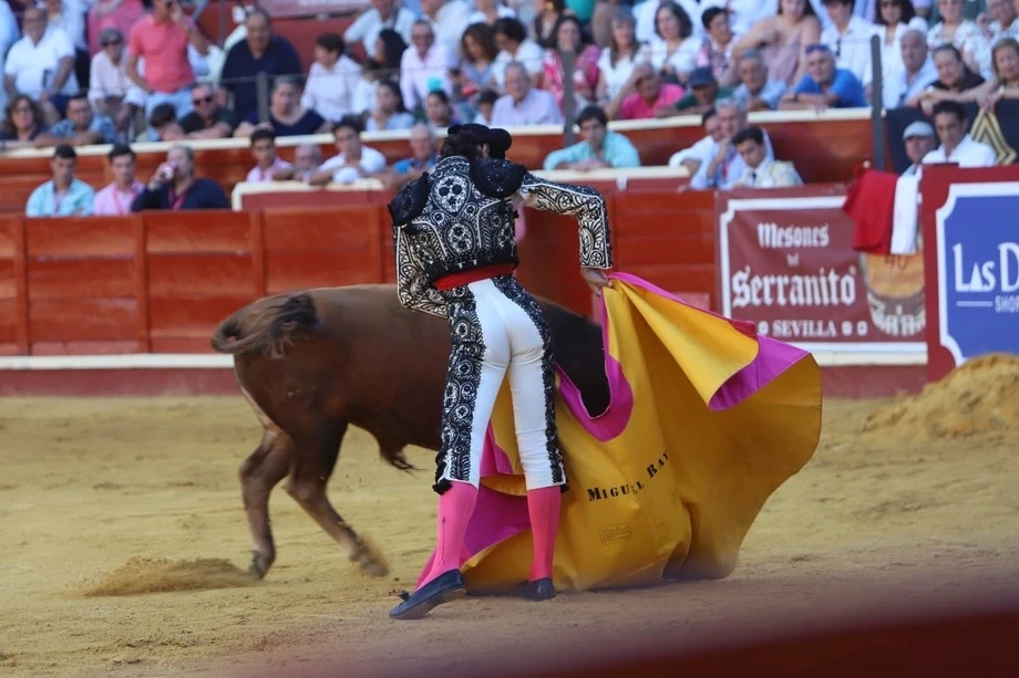 Imagen 12