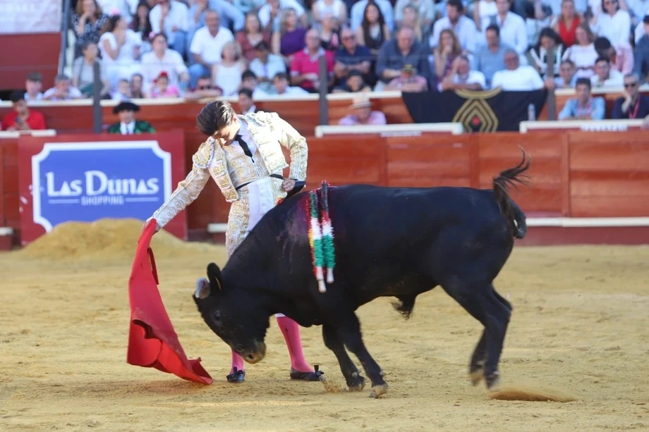 Imagen 14