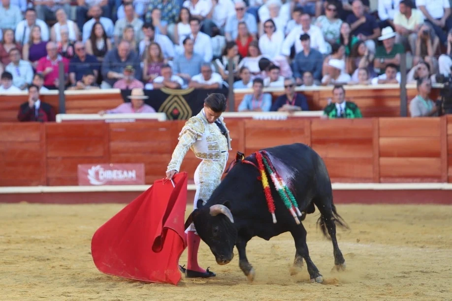 Imagen 15