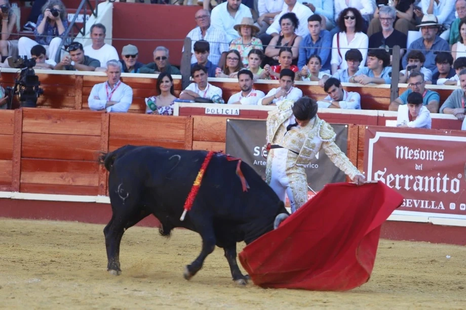 Imagen 16