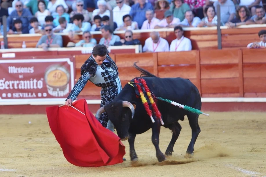 Imagen 19