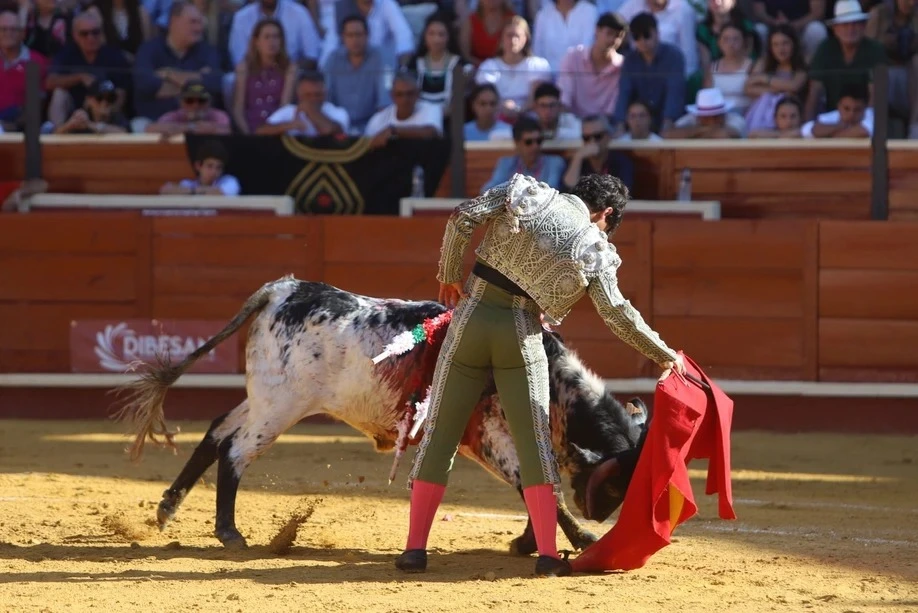 Imagen 21