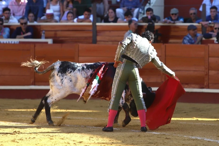 Imagen 22