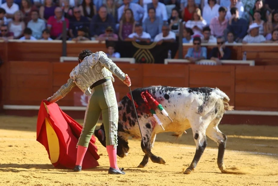 Imagen 23
