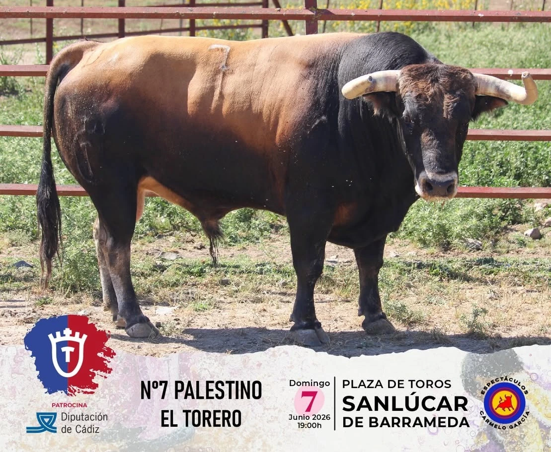 Imagen 3