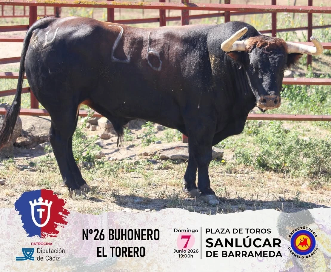 Imagen 4