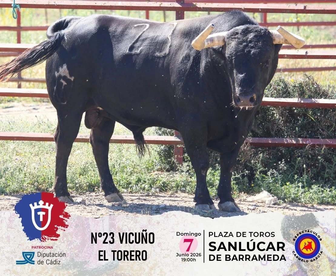 Imagen 6