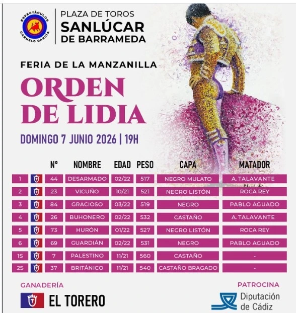 Imagen 7
