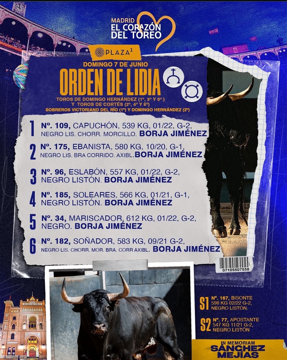 Imagen 14