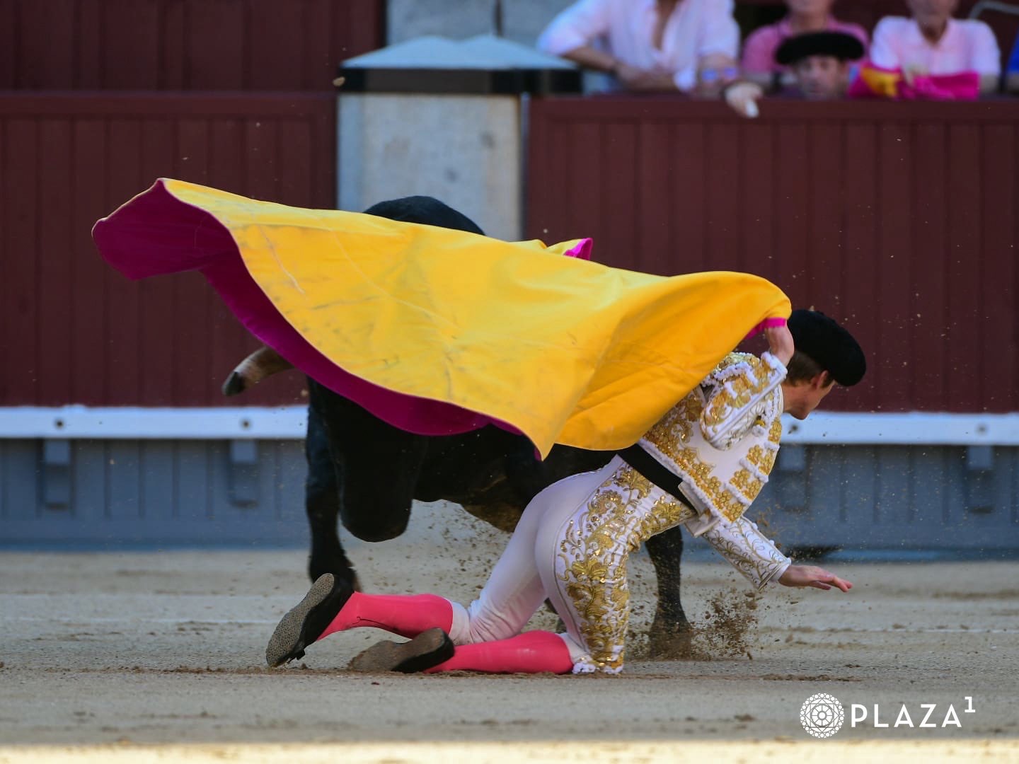 Imagen 2