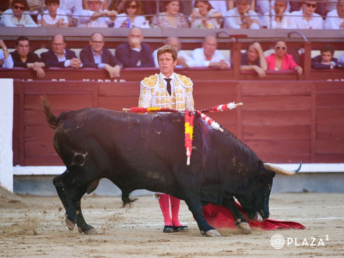 Imagen 3