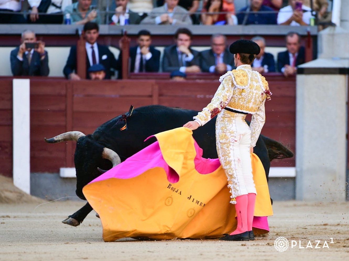 Imagen 6