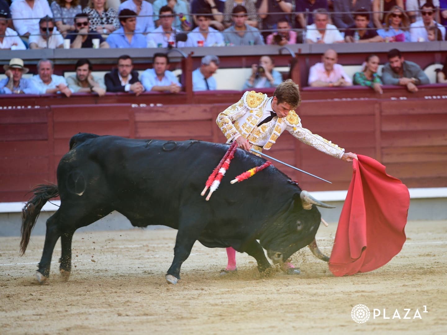 Imagen 7