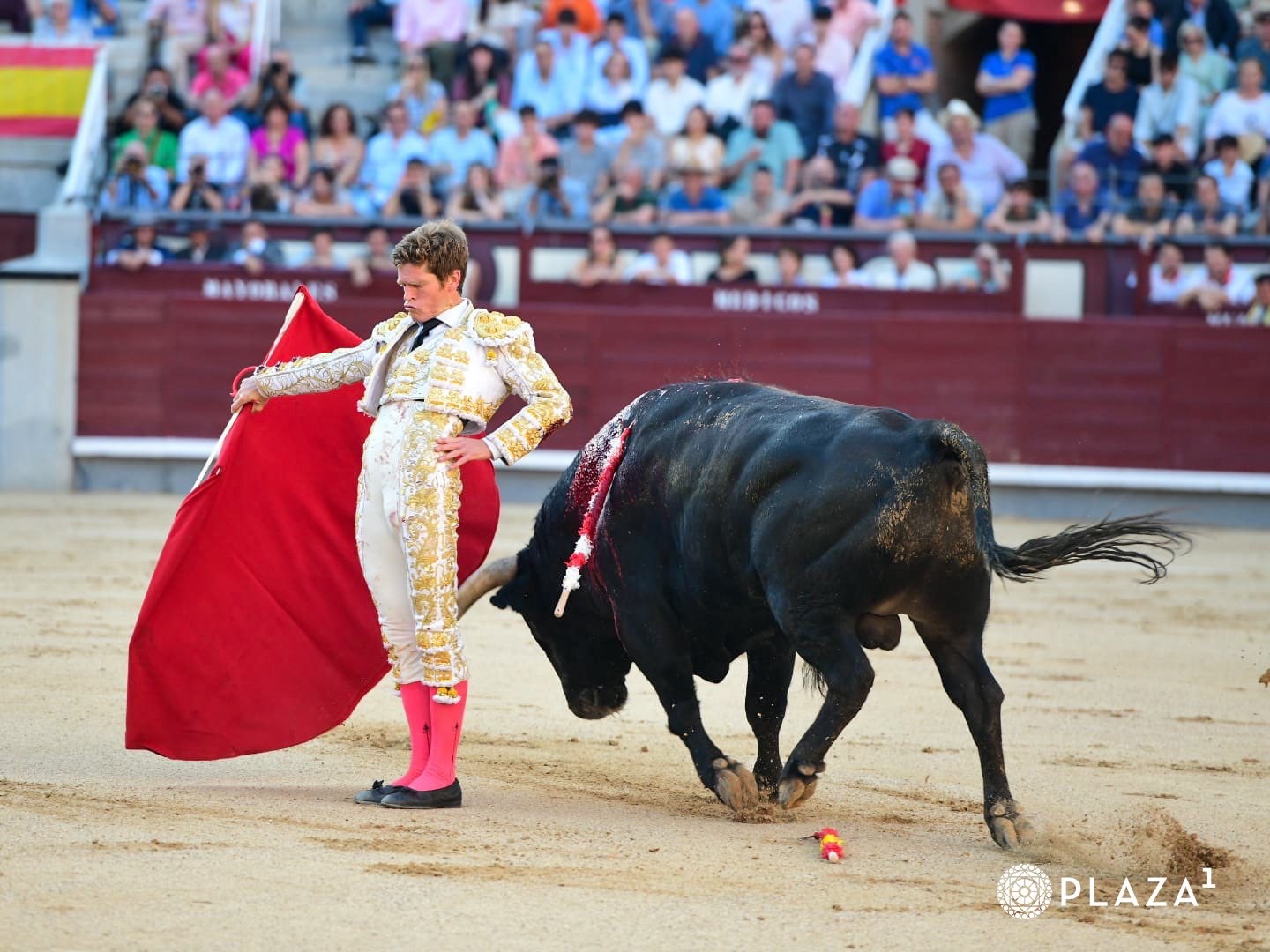 Imagen 9