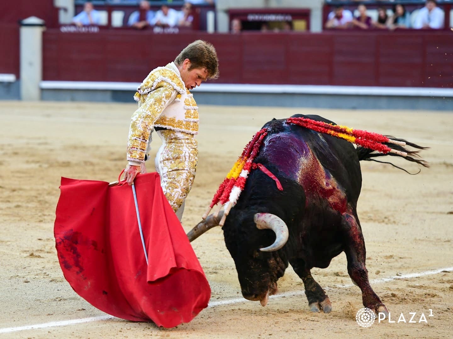 Imagen 11