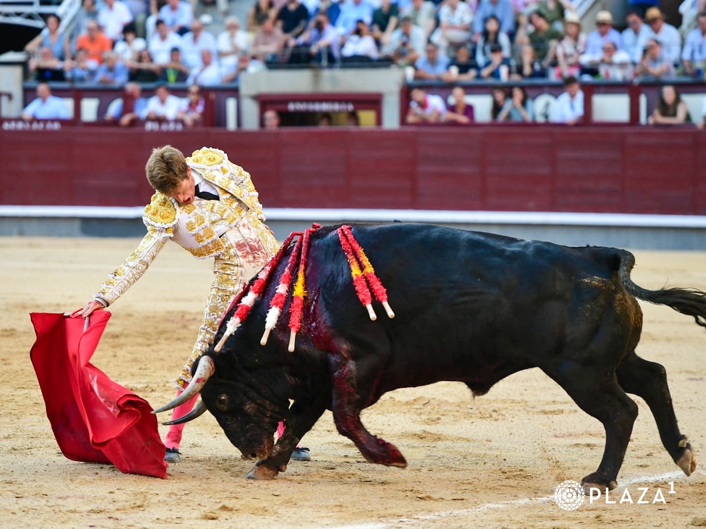 Imagen 12