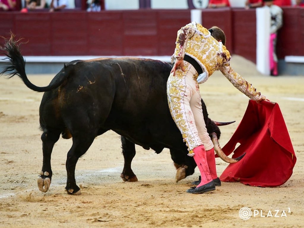 Imagen 14