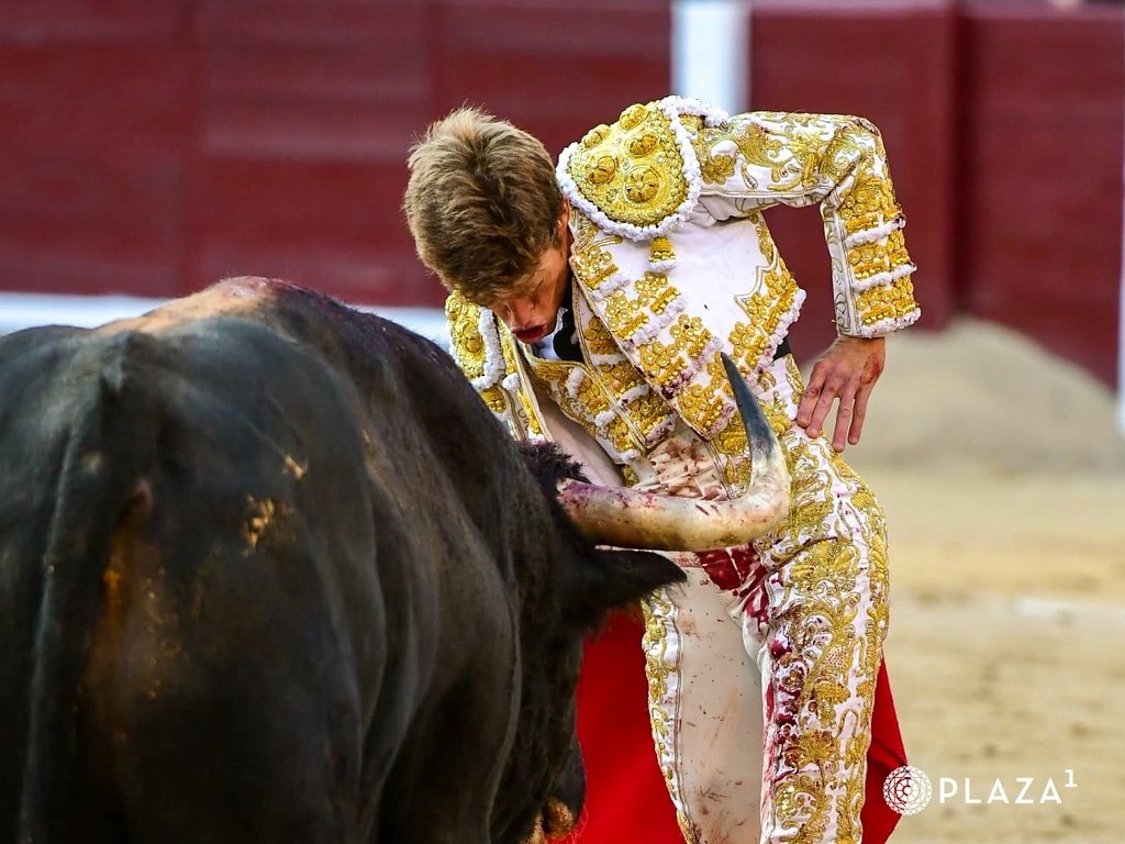Imagen 15