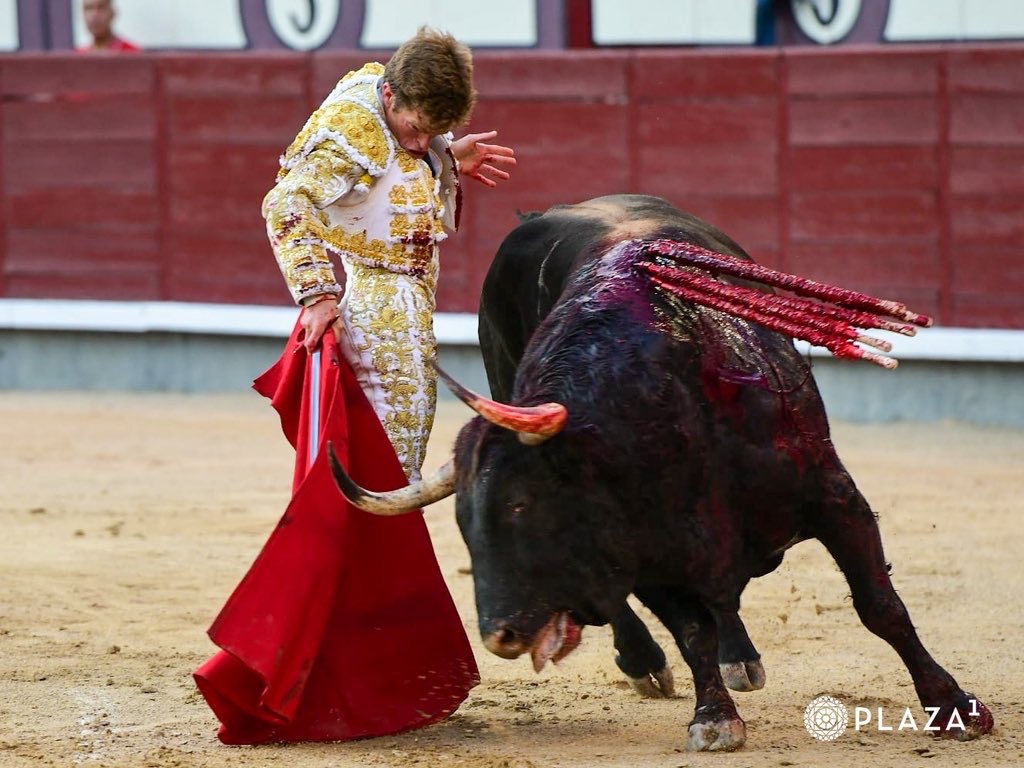 Imagen 16