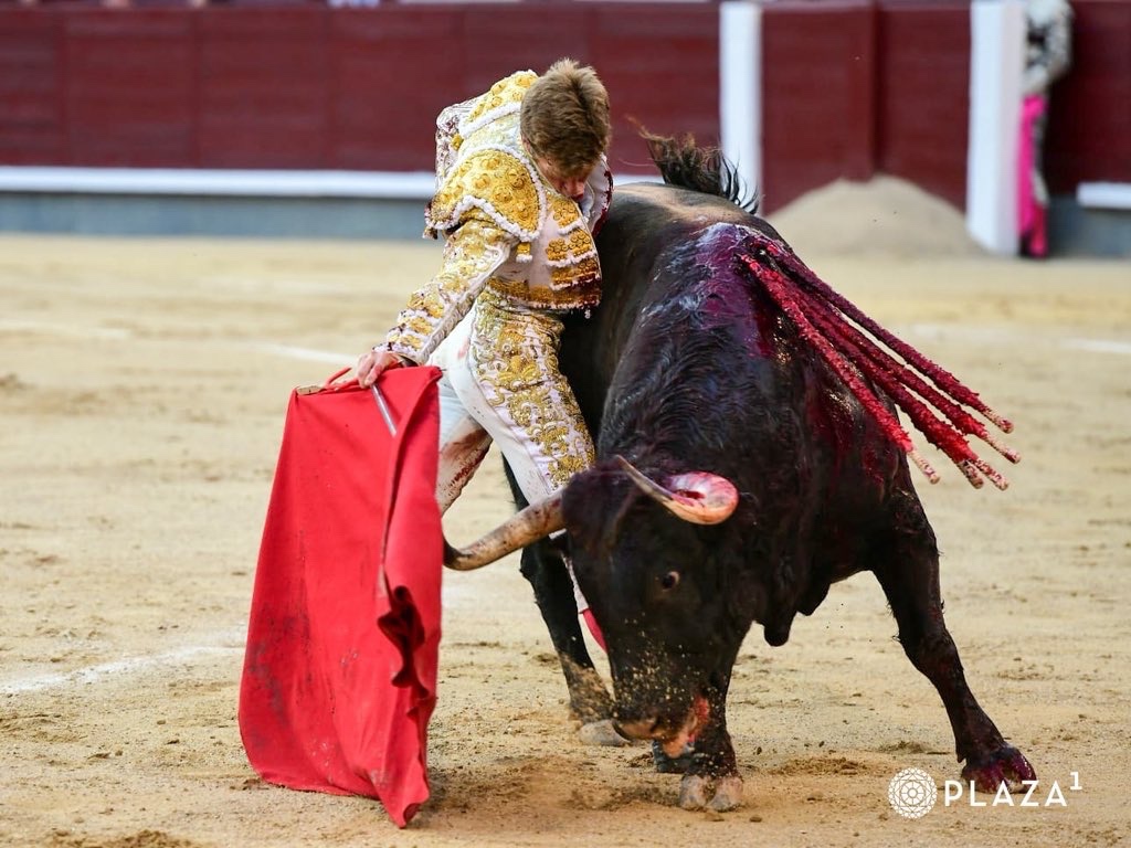 Imagen 17