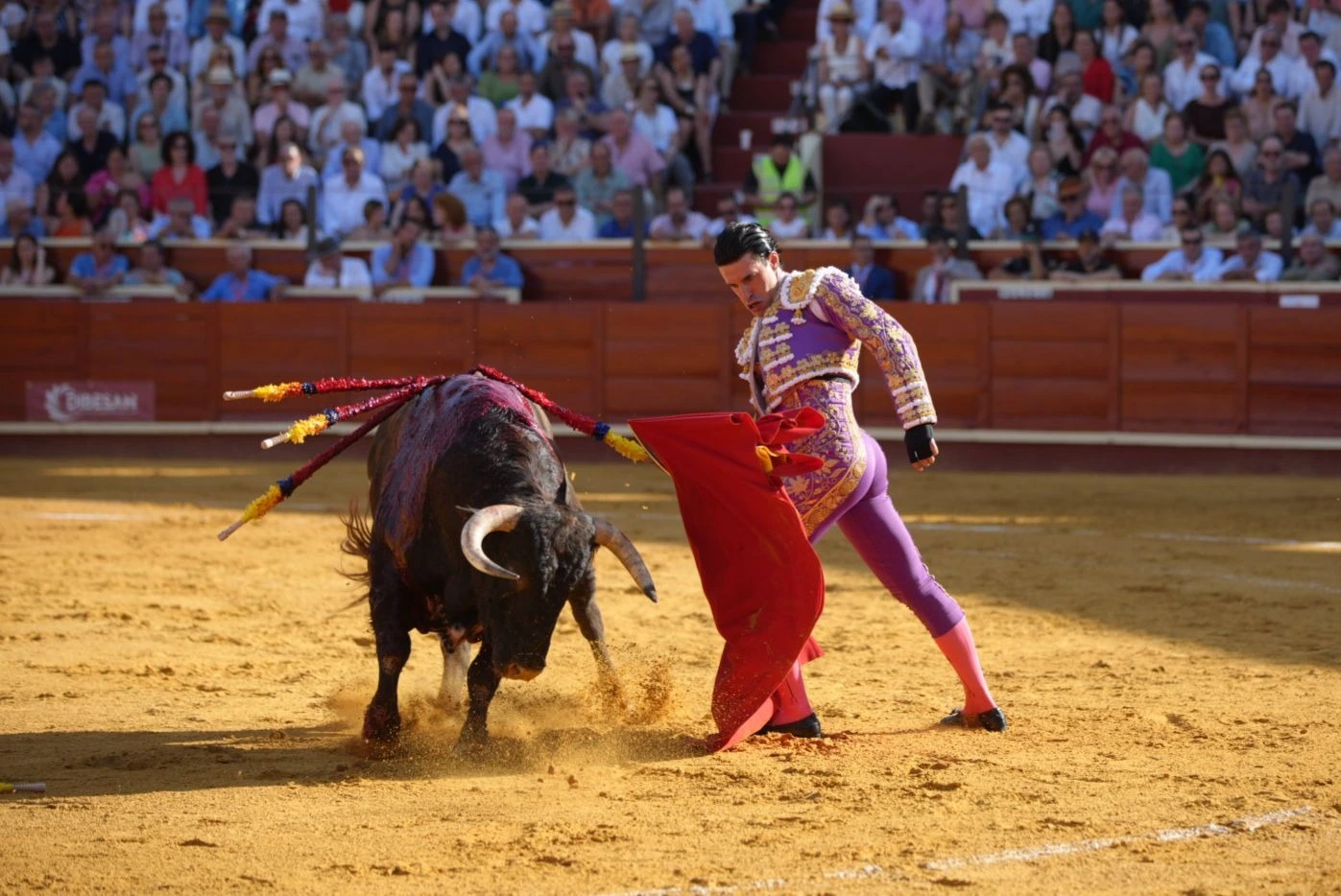 Imagen 6